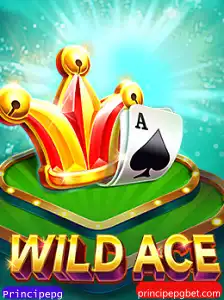 Explorando o Mundo de WildAce: Regras e Estratégias para Dominar